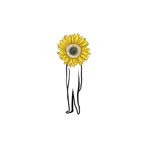 Sunflower-512px